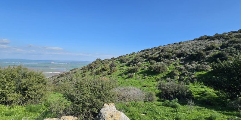 נוף פתוח מעין הסמל