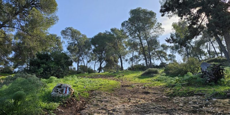 הליכה במגמת ירידה על הסימון האדום