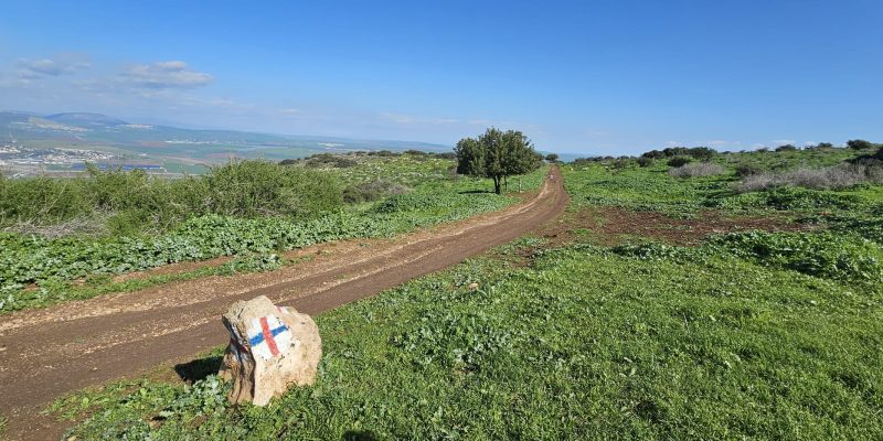 הליכה במגמת ירידה על הסימון האדום