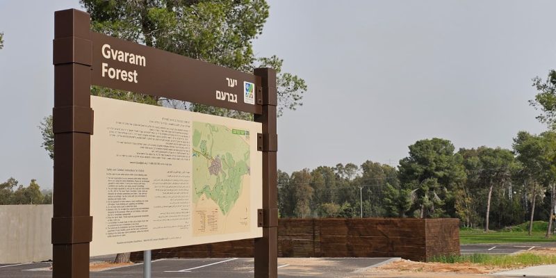 טיול ביער גברעם: אמפי ההנצחה, גבעות הכורכר ופריחת הכלניות