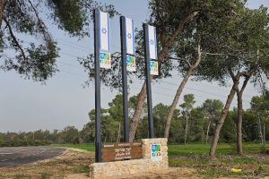 טיול ביער גברעם: אמפי ההנצחה, גבעות הכורכר ופריחת הכלניות