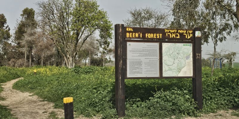 הכניסה ליער בארי