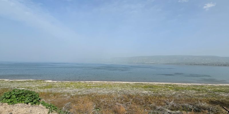 צוקפה: עגלת קפה בכנרת