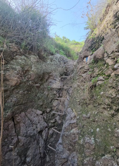 ואדי אל ג'ורם: מסלול אתגרי בקניון בזלתי, פריחה ונוף בצפון