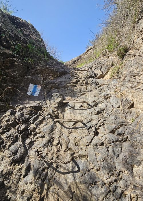 ואדי אל ג'ורם: מסלול אתגרי בקניון בזלתי, פריחה ונוף בצפון