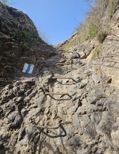 ואדי אל ג'ורם: מסלול אתגרי בקניון בזלתי, פריחה ונוף בצפון