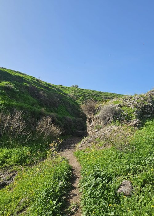 ואדי אל ג'ורם: מסלול אתגרי בקניון בזלתי, פריחה ונוף בצפון