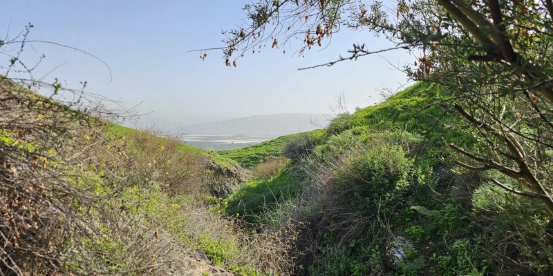 ואדי אל ג'ורם: מסלול אתגרי בקניון בזלתי, פריחה ונוף בצפון