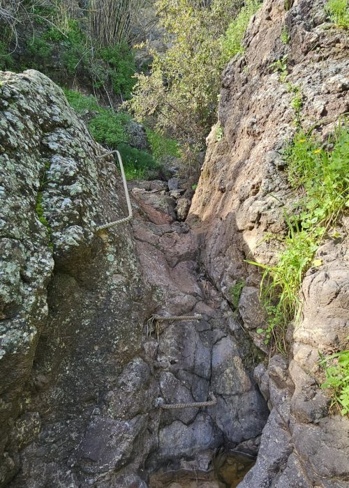 ואדי אל ג'ורם: מסלול אתגרי בקניון בזלתי, פריחה ונוף בצפון