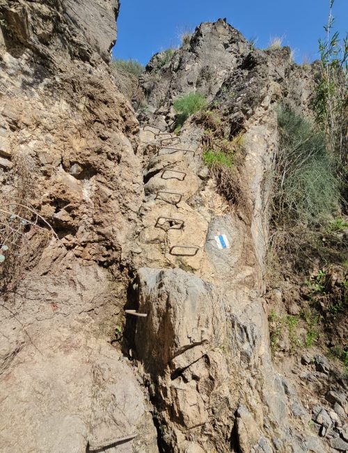 ואדי אל ג'ורם: מסלול אתגרי בקניון בזלתי, פריחה ונוף בצפון
