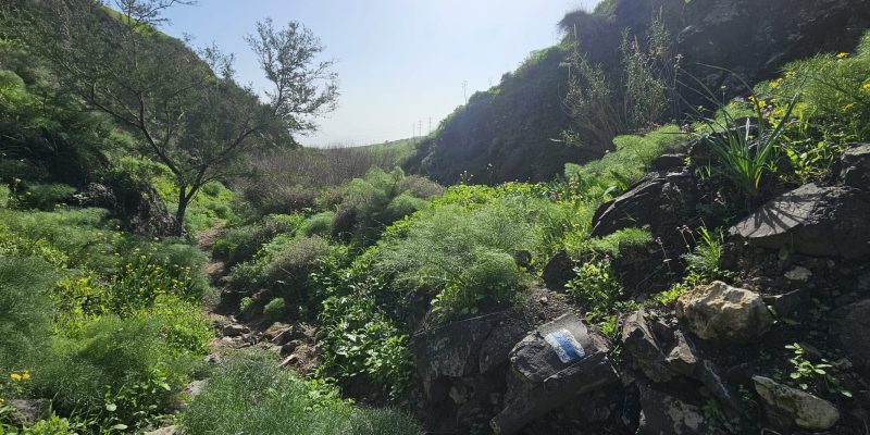 ואדי אל ג'ורם: מסלול אתגרי בקניון בזלתי, פריחה ונוף בצפון