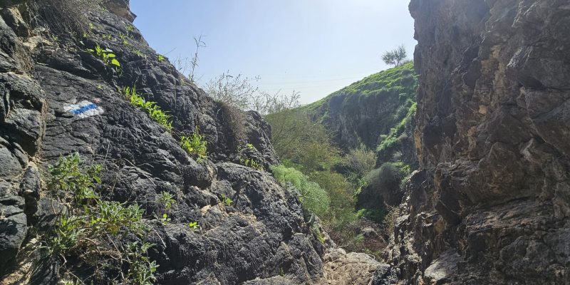 ואדי אל ג'ורם: מסלול אתגרי בקניון בזלתי, פריחה ונוף בצפון