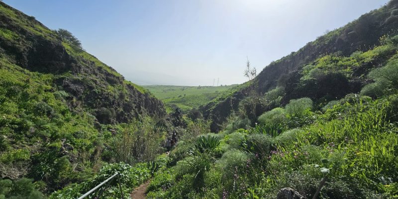 ואדי אל ג'ורם: מסלול אתגרי בקניון בזלתי, פריחה ונוף בצפון