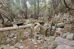 חרבת צונם: העיר האבודה של הגליל המערבי