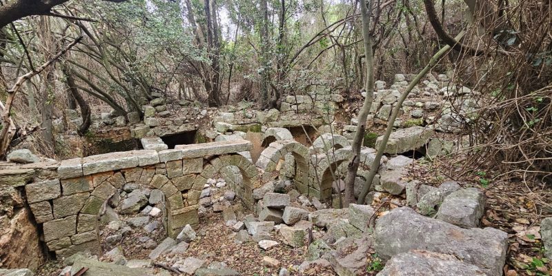 חרבת צונם: העיר האבודה של הגליל המערבי