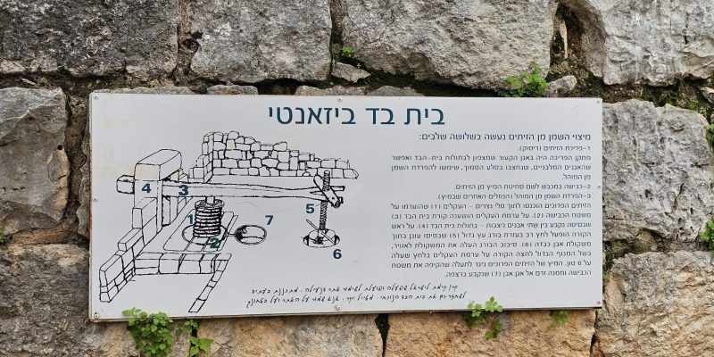 חרבת דנעילה: מסע בין בתי בד עתיקים בגליל המערבי