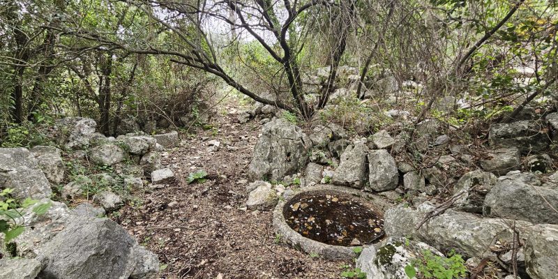 חרבת דנעילה: מסע בין בתי בד עתיקים בגליל המערבי