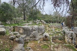 חרבת דנעילה: מסע בין בתי בד עתיקים בגליל המערבי