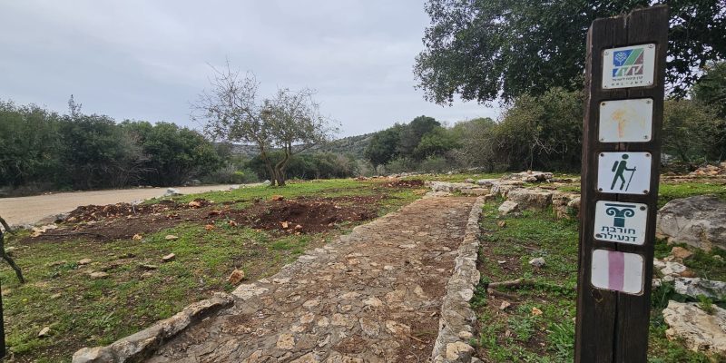 חרבת דנעילה: מסע בין בתי בד עתיקים בגליל המערבי