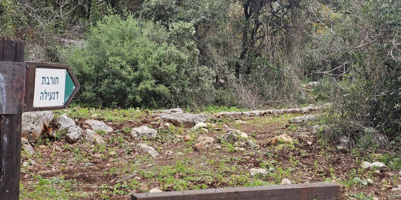 חרבת דנעילה: מסע בין בתי בד עתיקים בגליל המערבי