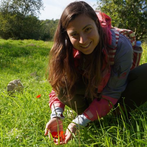 פארק בריטניה קרדיט צילום ג'ואנה אנטוניה אליס