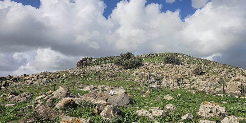 גן לאומי קרני חיטין