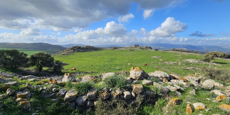 גן לאומי קרני חיטין