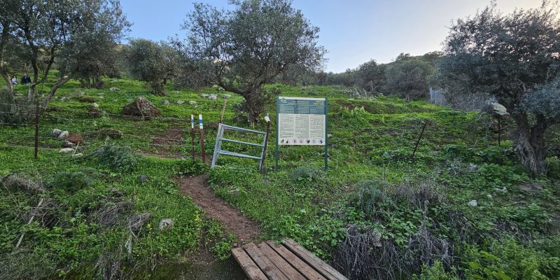 גן לאומי קרני חיטין