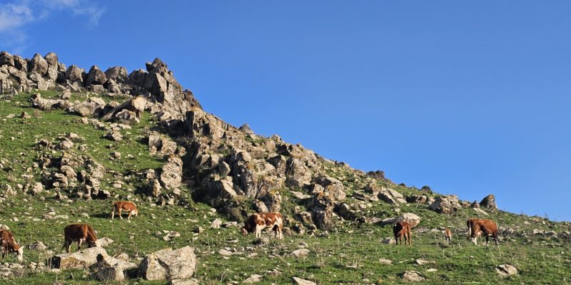 גן לאומי קרני חיטין