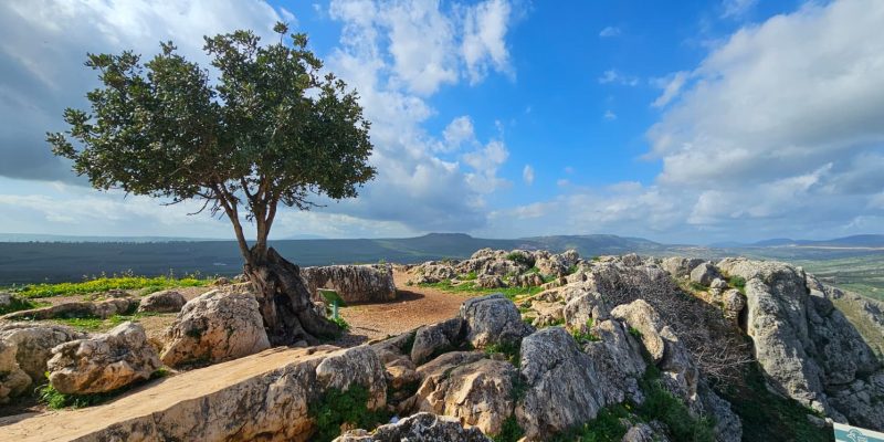 גן לאומי ושמורת הטבע ארבל