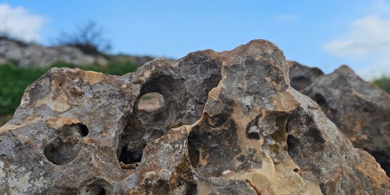 גן לאומי ושמורת הטבע ארבל
