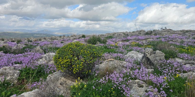גן לאומי ושמורת הטבע ארבל