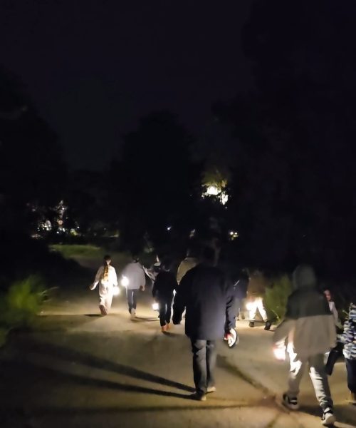 הנחה לסופ״ש אקסטרה במלונות מטיילים – חופשה משפחתית מלאה בחוויות