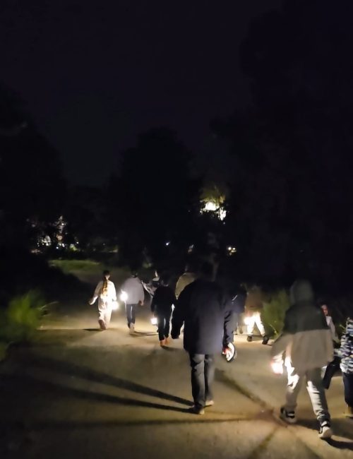 הנחה לסופ״ש אקסטרה במלונות מטיילים – חופשה משפחתית מלאה בחוויות