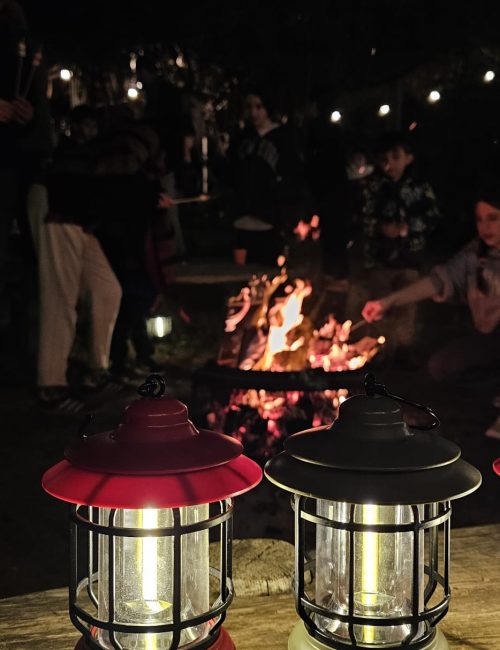 הנחה לסופ״ש אקסטרה במלונות מטיילים – חופשה משפחתית מלאה בחוויות