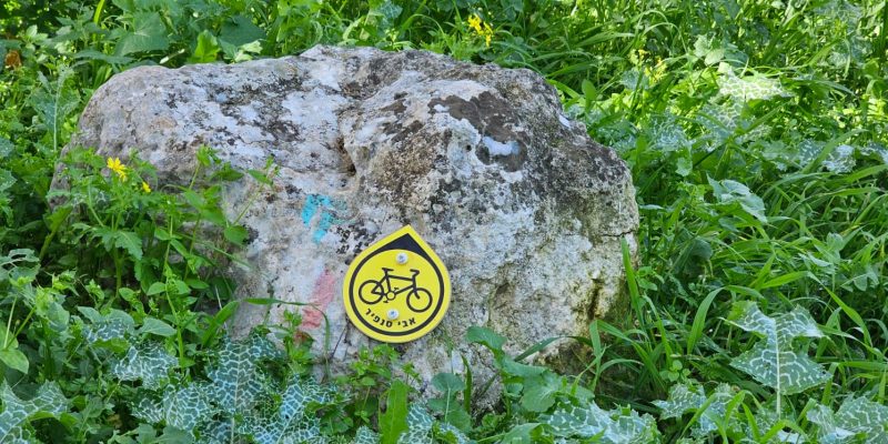 שמורת אלונים: יער אלוני התבור בלב הגליל התחתון המערבי