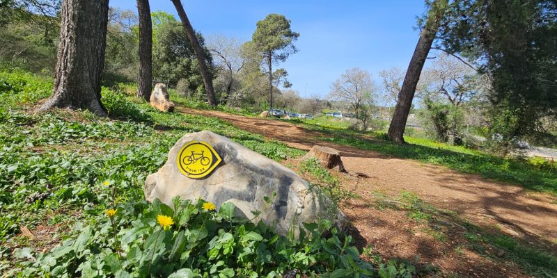 שמורת אלונים: יער אלוני התבור בלב הגליל התחתון המערבי