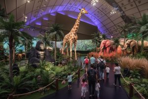 תערוכה עולם החיות המופלא באדיבות יחצ