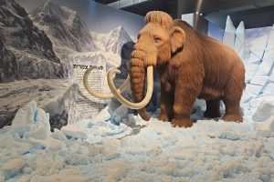 המסע לאנטרקטיקה: תערוכת חיות באדיבות יחצ