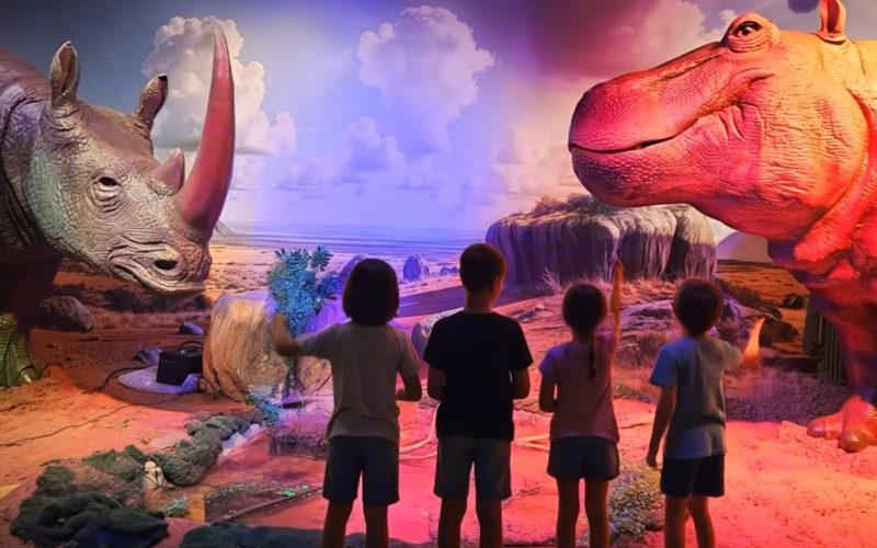 תערוכה עולם החיות המופלא באדיבות יחצ