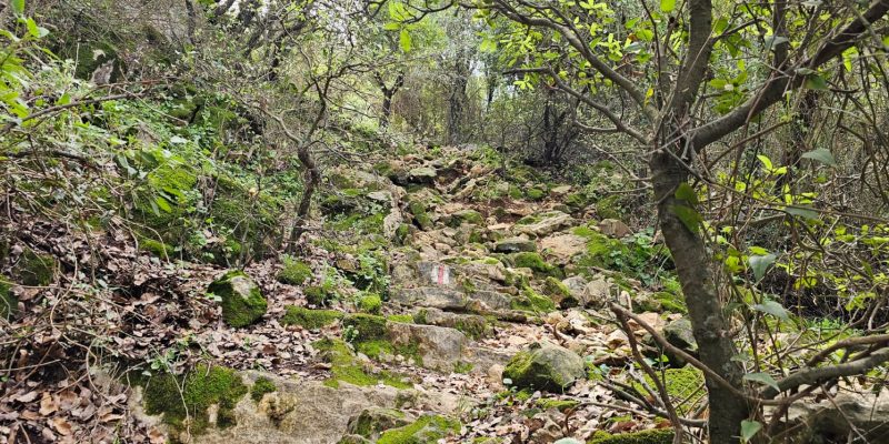 השביל האדום המוביל אל חרבת כרך ונחל רקפת
