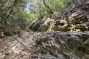 השביל האדום המוביל אל חרבת כרך ונחל רקפת