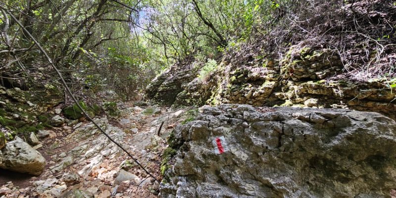 השביל האדום המוביל אל חרבת כרך ונחל רקפת