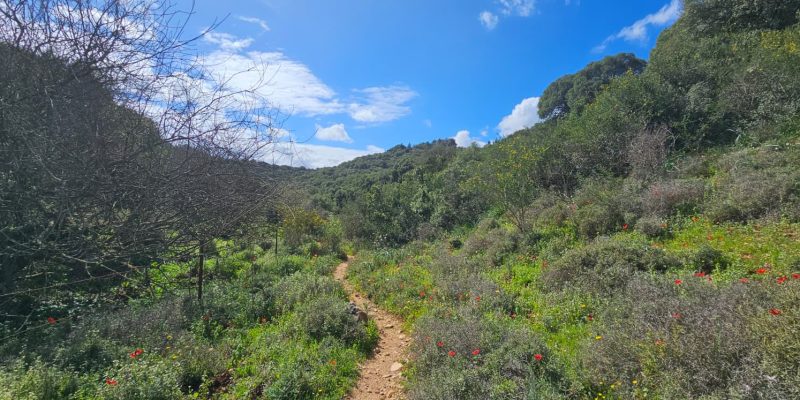 השביל האדום המוביל אל חרבת כרך ונחל רקפת