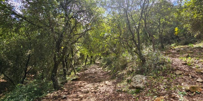 השביל האדום המוביל אל חרבת כרך ונחל רקפת