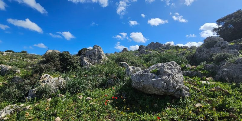 השביל האדום המוביל אל חרבת כרך ונחל רקפת