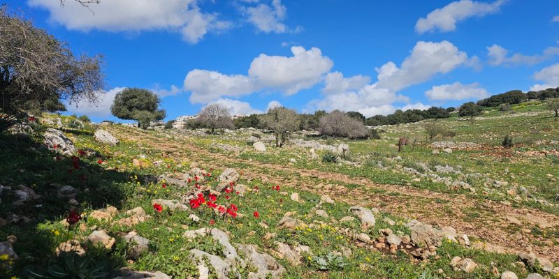 השביל האדום המוביל אל חרבת כרך ונחל רקפת