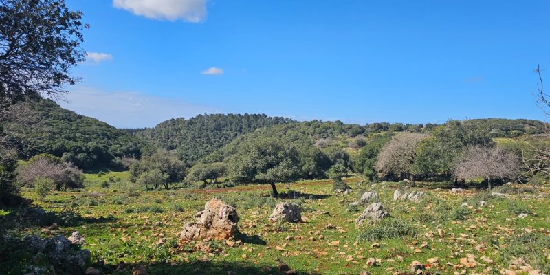 השביל האדום המוביל אל חרבת כרך ונחל רקפת