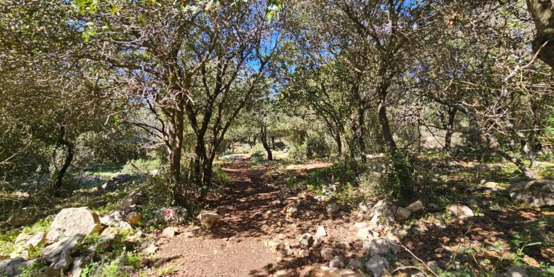 השביל האדום המוביל אל חרבת כרך ונחל רקפת