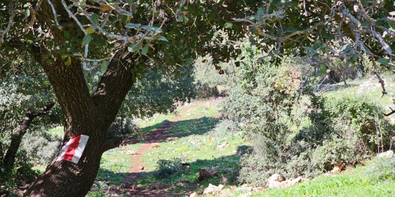 השביל האדום המוביל אל חרבת כרך ונחל רקפת